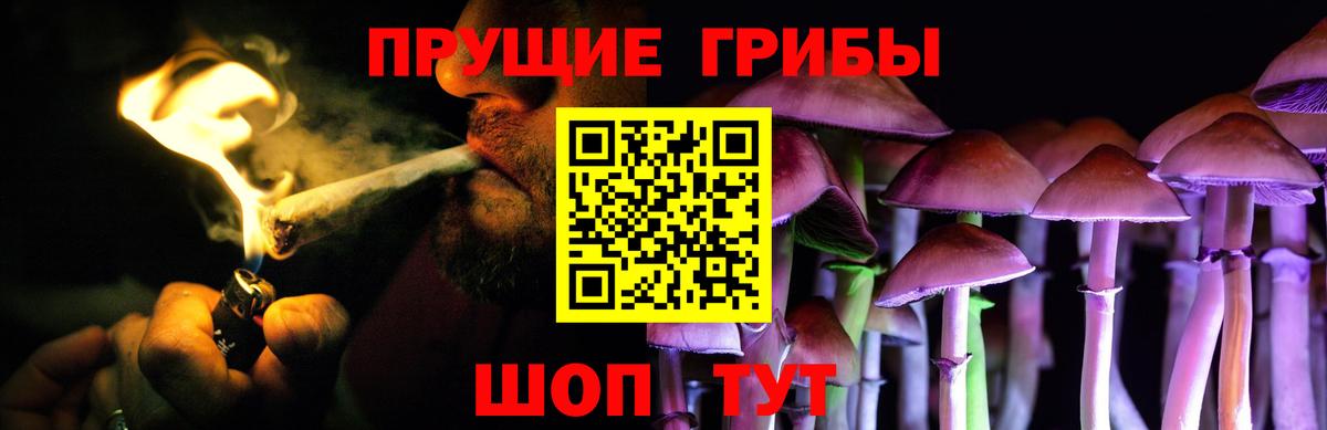Павловский Посад  Галлюциногенные грибы MAGIC MUSHROOMS  Вход с VPN 